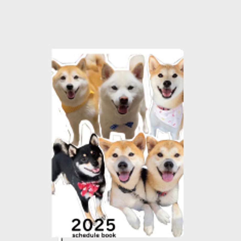 66f664204961f5000103556b