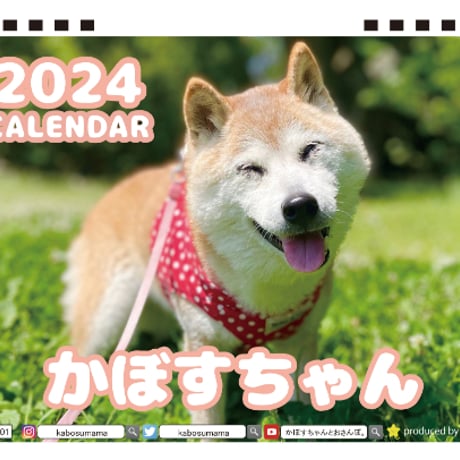 【予約販売】 柴犬のかぼすちゃん 2024年 卓上 カレンダー TC24201