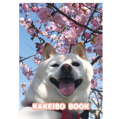 【予約販売】 白柴 小梅 犬 家計簿 CA005NN