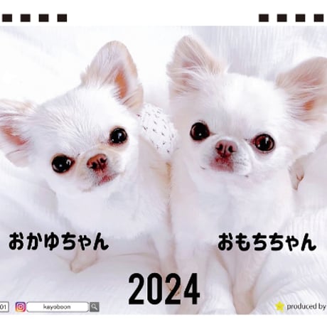 【予約販売】 チワワ犬のおもちちゃん＆おかゆちゃん 2024年 卓上 カレンダー TC24192