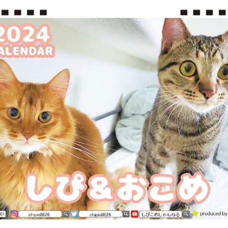 【予約販売】 猫のしぴ＆おこめ 2024年 卓上 カレンダー TC24157