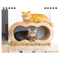【予約販売】 短足マンチカンのプリンとメル 2026年 卓上カレンダー TA26267