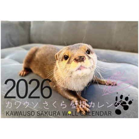 【予約販売】 カワウソ さくら 2026年 壁掛けカレンダー KA26250