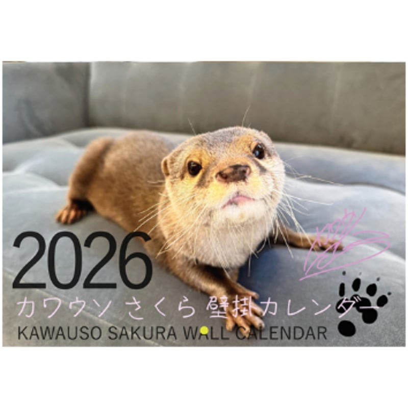 予約販売】 カワウソ さくら 2026年 壁掛けカレンダー KA26250 | ANISTAR