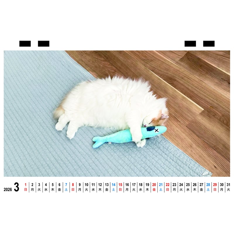 予約販売】 レモンとポテチ 猫 犬 猫のレモンと犬のポテチちゃんねる
