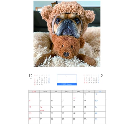 【予約販売】 フレンチブルドッグ torus トーラス 犬 2026年 壁掛け カレンダー KK26033