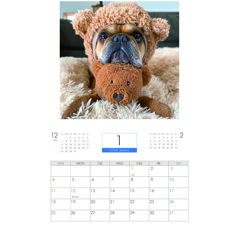 予約販売】 フレンチブルドッグ torus トーラス 犬 2026年 壁掛け