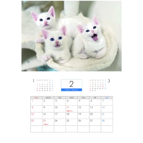 【予約販売】 ねこたま庵 猫 2026年 壁掛け カレンダー KK26021