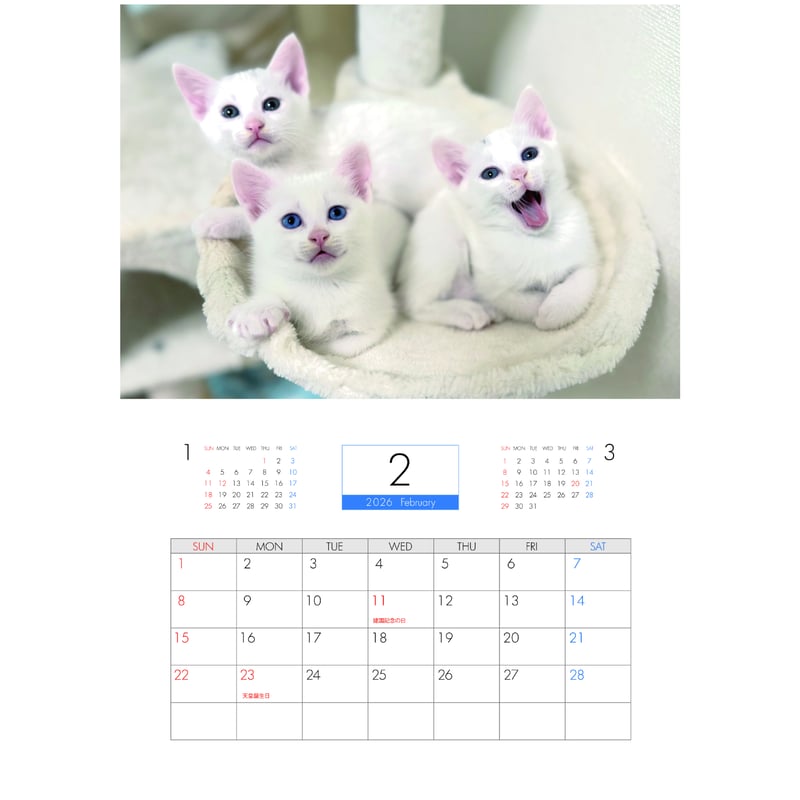 予約販売】 ねこたま庵 猫 2026年 壁掛け カレンダー KK26021 | ANISTAR