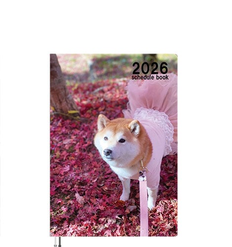 犬 水戸市【公式】 on X