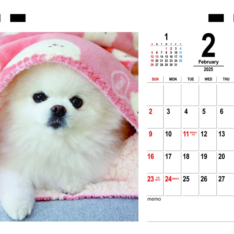 オーダー受付 パネル ポメラニアン 4/20 オーダー受付 パネル