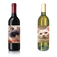 【予約販売】 猫のウルン＆リコリン 2025年 紅白ワイン 720ml WW25278-279