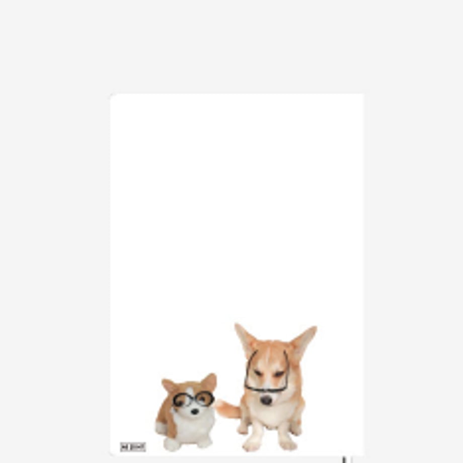 66f664044961f50001035552