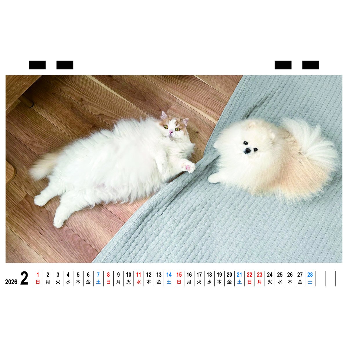 予約販売】 レモンとポテチ 猫 犬 猫のレモンと犬のポテチちゃんねる