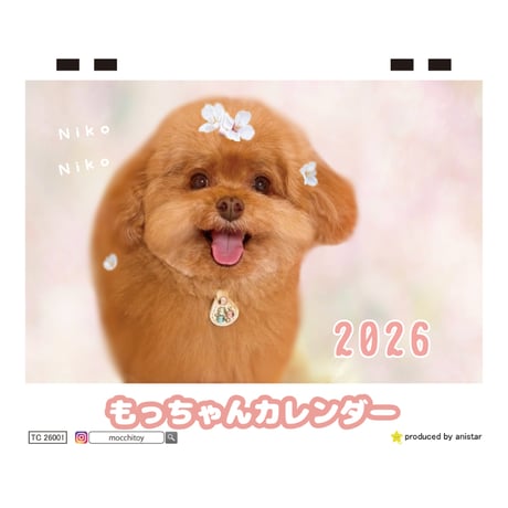 【予約販売】 もっちゃん トイプードル 犬 2026年 卓上カレンダー TC26167