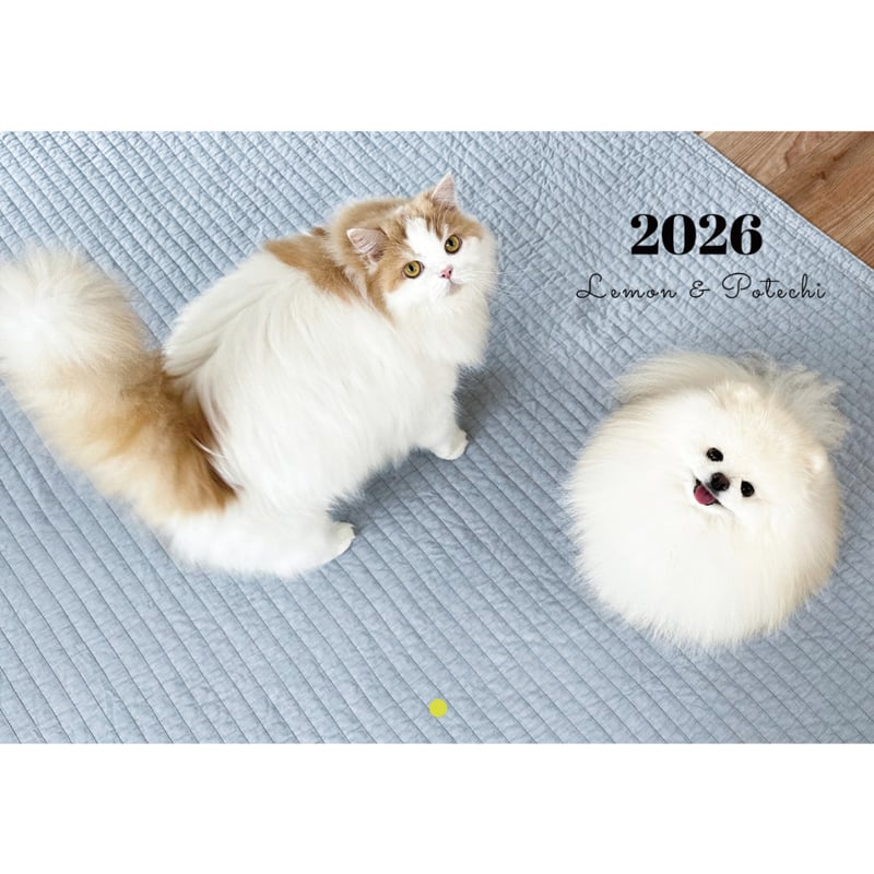 予約販売】 レモンとポテチ 猫 犬 猫のレモンと犬のポテチちゃんねる