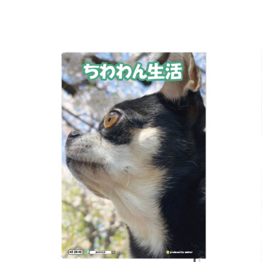 68dc8453dbaefd345a19a949