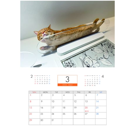 【予約販売】 猫のもち 2026年 壁掛けカレンダー KA26251