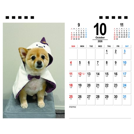 【予約販売】 ポメラニアンのポメくん 犬 2026年 卓上半面 カレンダー TA26345