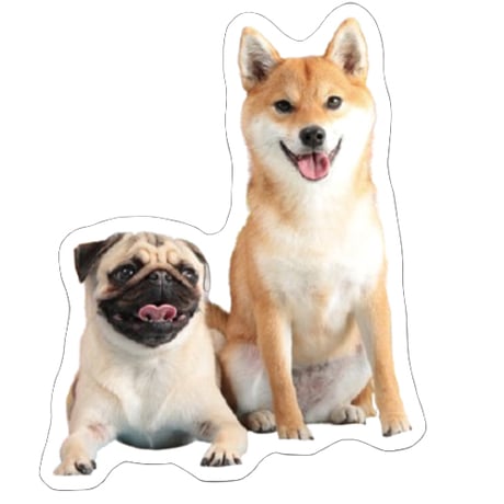 【予約販売】 ラル＆アキ パグ 柴犬 ステッカー 3枚セット SU002NN