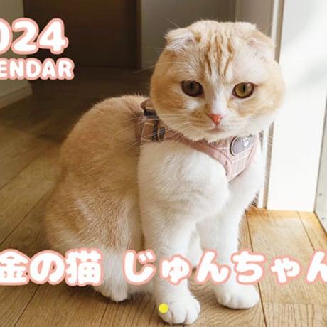 【予約販売】 金のじゅんちゃん 犬と猫の親バカ日記 2024年 壁掛け カレンダー KK24261