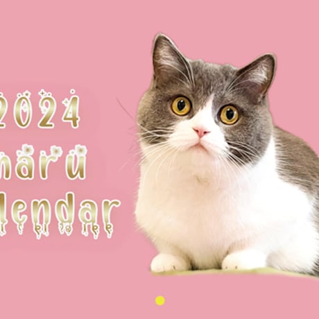 【予約販売】 猫のまる 2024年 壁掛け カレンダー KK24072