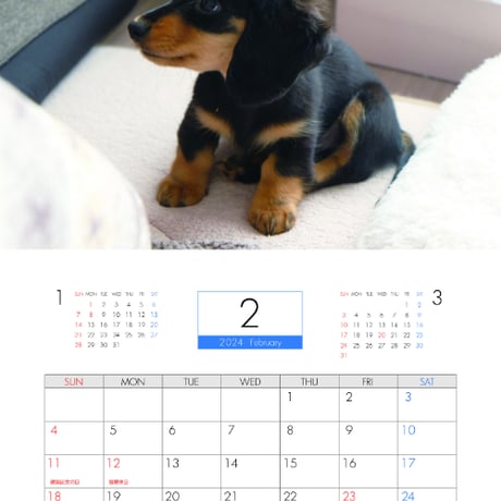【予約販売】 ミニチュアダックス犬 まんぷくのオケッツ 2024年 壁掛け カレンダー KK24167
