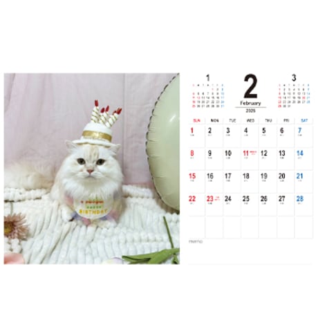 【予約販売】 miel&ciel 猫 2026年 卓上カレンダー TC26275