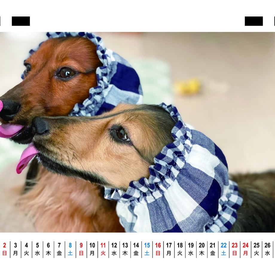 66f665464961f50001035699