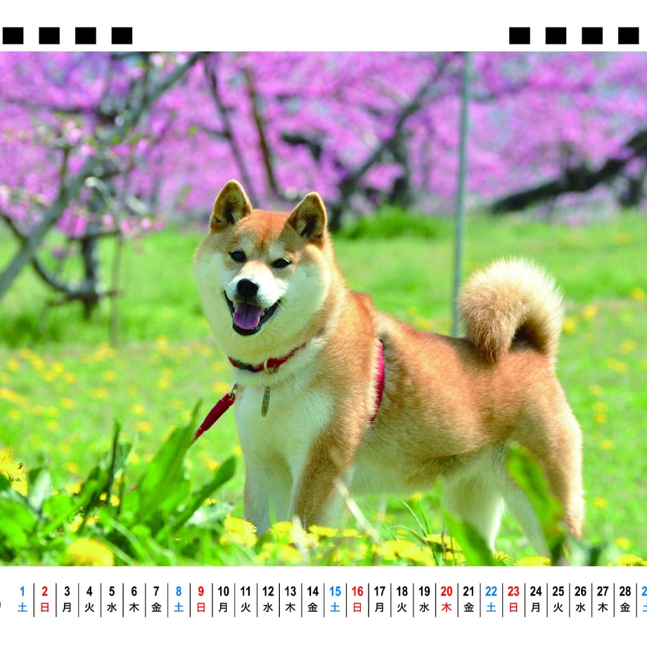 66f666754961f5000103575f
