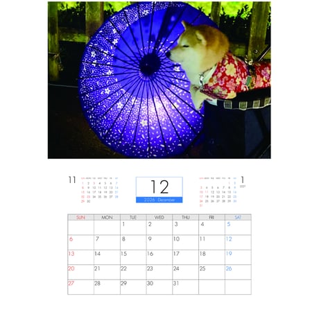 【予約販売】 柴犬 小雨 2026年 壁掛け カレンダー KA26005
