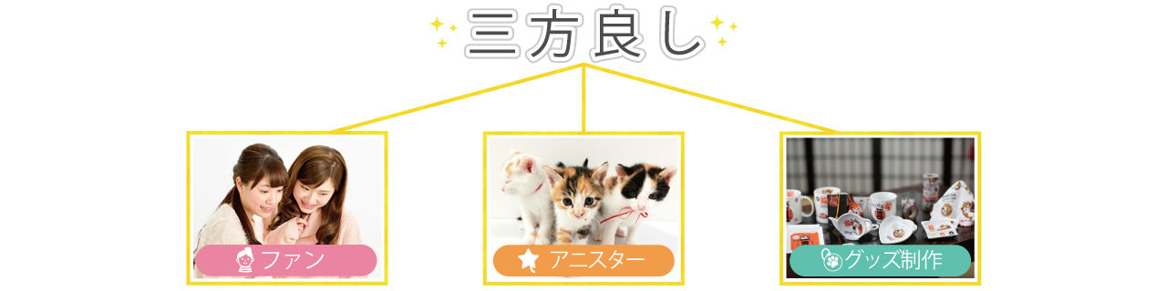 アニスターとは