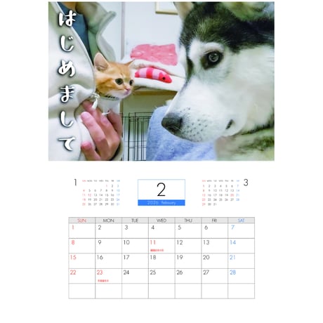 【予約販売】 犬と猫の親バカ日記 2026年 壁掛けカレンダー KA26207