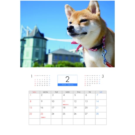 【予約販売】 柴犬 小夏 2026年 壁掛け カレンダー KA26317