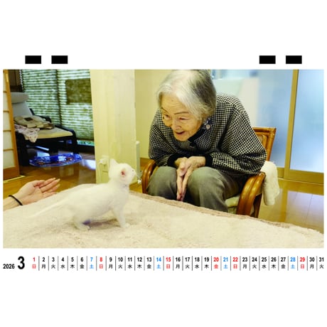 【予約販売】 猫と人間の家族 2026年 卓上カレンダー TC26238