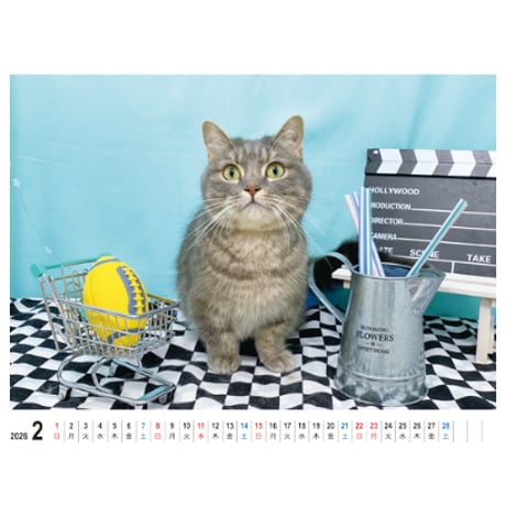 【予約販売】 アクアとフランマ 猫 2026年 卓上カレンダー TA26113