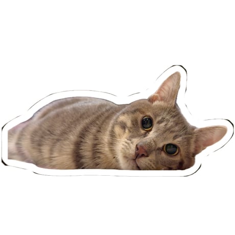 【予約販売】 猫のウルン＆リコリン シール 5枚セット SE021NN