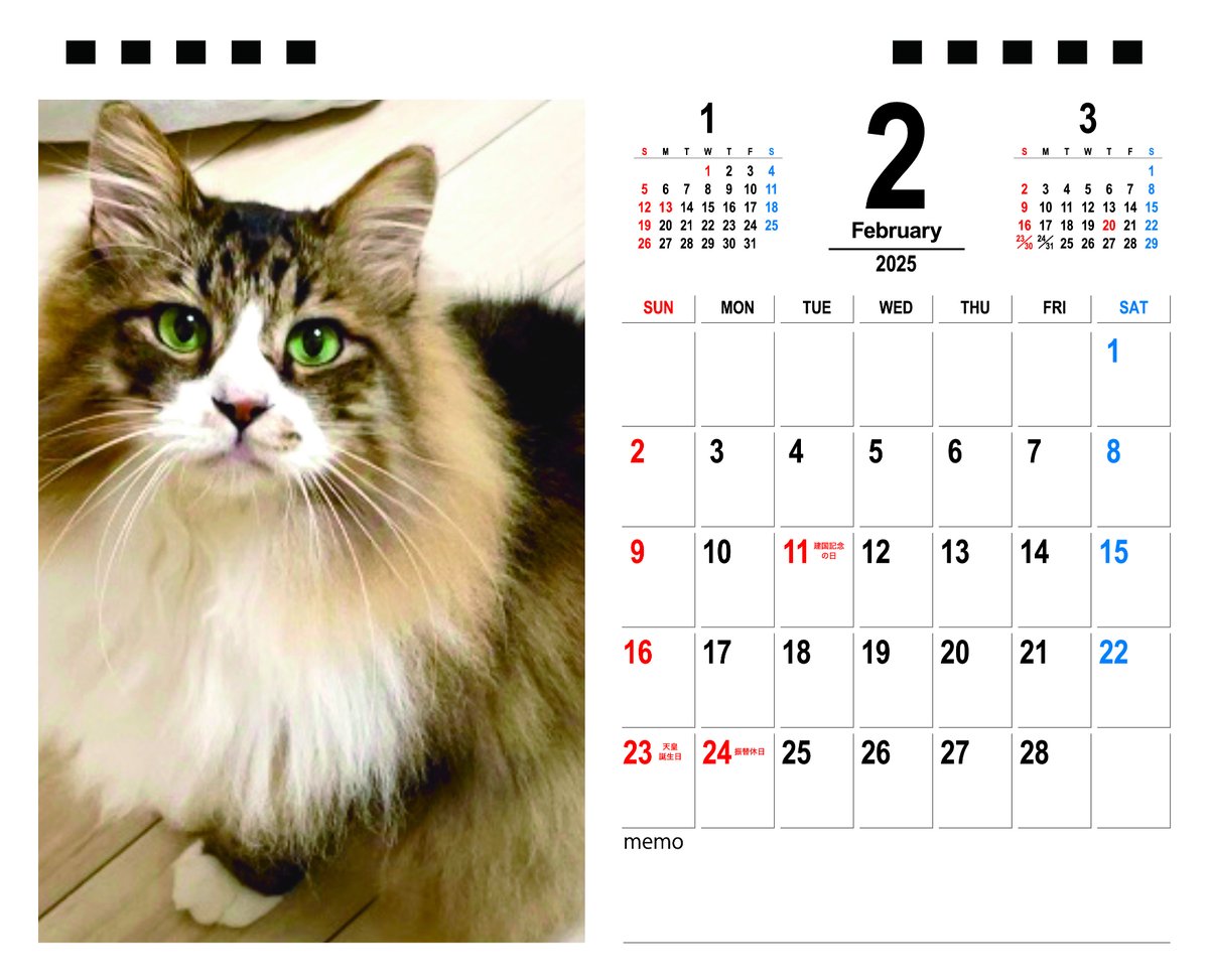 【新品】名前はまだない。 猫 2025 卓上カレンダー直筆サイン入チェキ 新品】名前はまだない。 猫 2025 卓上カレンダー直筆サイン入