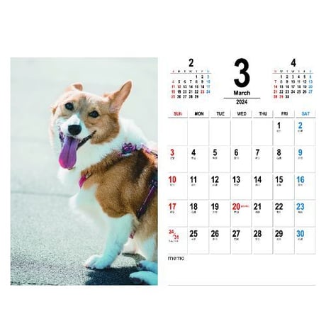 【予約販売】 コーギー犬 モナ 2024年 卓上 カレンダー TC24296