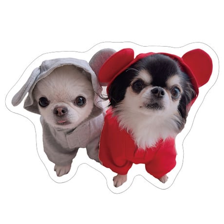 【予約販売】 チワワのUNI＆EBI 犬 ステッカー 3枚セット SU006NN