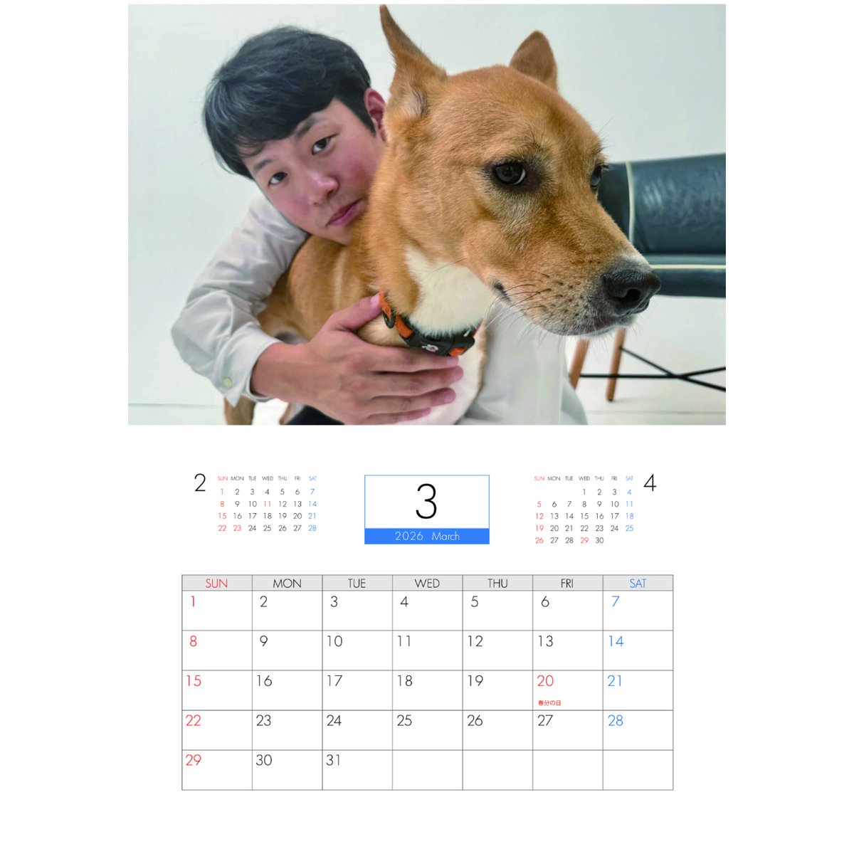 予約販売】 チワワののぶなが 犬 2026年 壁掛けカレンダー KA26089