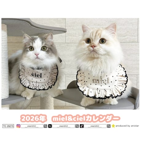 【予約販売】 miel&ciel 猫 2026年 卓上カレンダー TC26275
