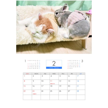 【予約販売】 うさぎのコガラナ天パのうさハムch 2026年 壁掛けカレンダー KA26190