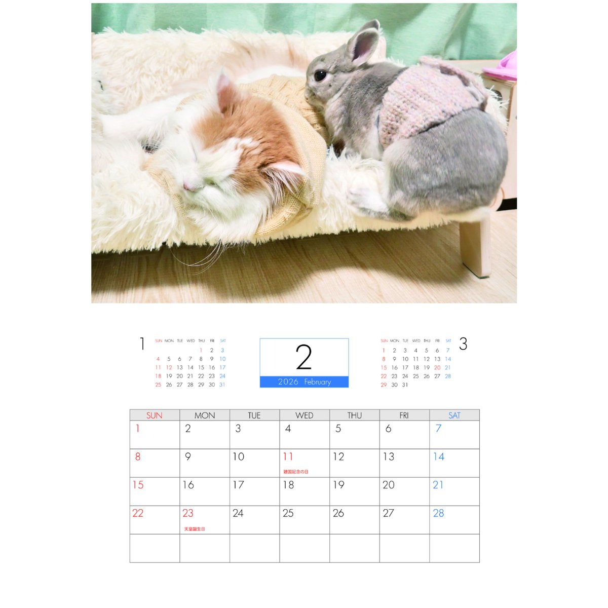 予約販売】 うさぎのコガラナ天パのうさハムch 2026年 壁掛け