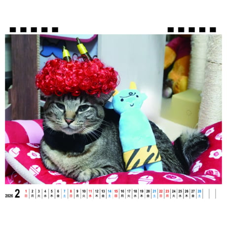 【予約販売】 リキちゃんねる 猫 2026年 卓上 カレンダー TA26343