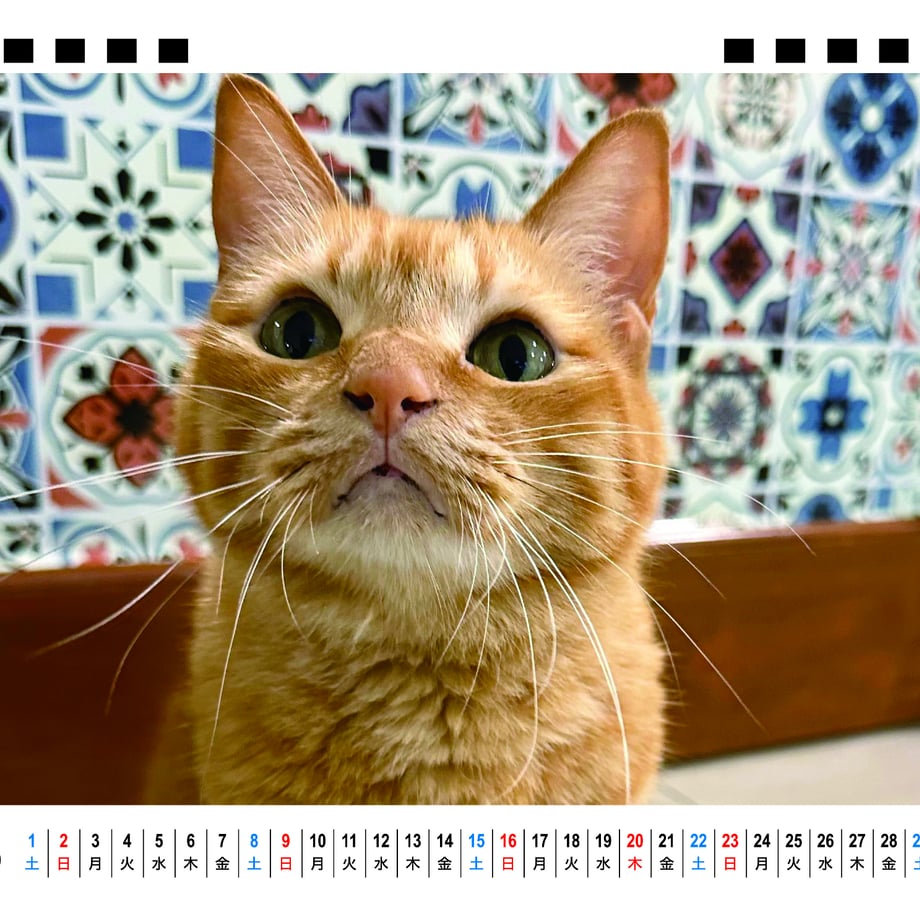 66f666934961f50001035773