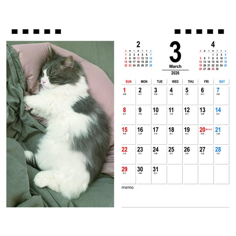 【予約販売】 猫のおこめ&どんどん 2026年 卓上カレンダー TA26264