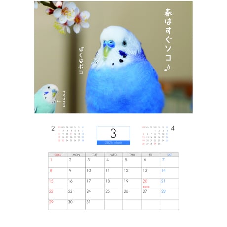 【予約販売】 インコのポコそら 鳥 2026年 壁掛けカレンダー KK26101