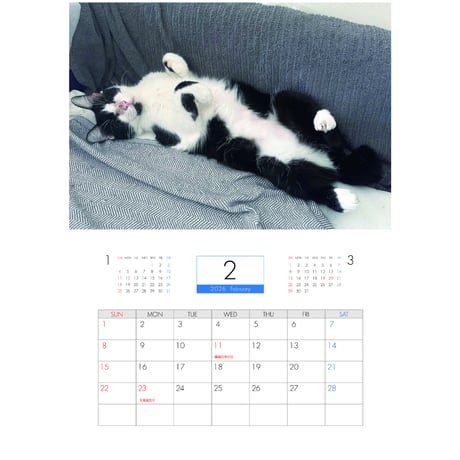 【予約販売】 ねころぐ 猫 2026年 壁掛け カレンダー KK26319
