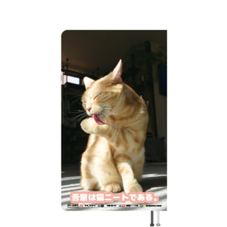 【予約販売】 吾輩は猫ニートである。 ぷう 2026年 ポケットスケジュール帳 PO26356
